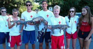 alligatorrescue.jpg